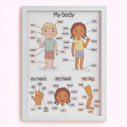 My Body: A Learning Poster